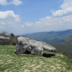 Dino rock - an animal-like rock on Spruce Knob